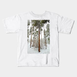 Winter Park Late Spring Study 1 Kids T-Shirt